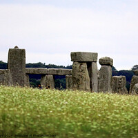 Buy canvas prints of Stonehenge by Ray Putley