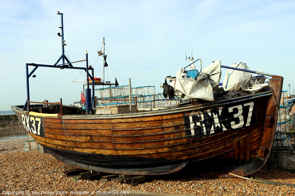 Fishing Boats - Hastings Picture Board by Ray Putley