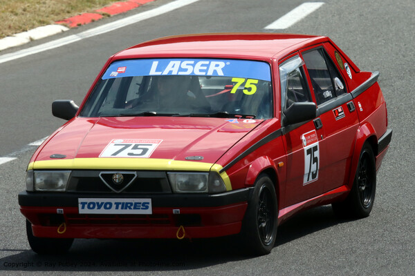 Alfa Romeo 75 Twin Spark Racing Picture Board by Ray Putley
