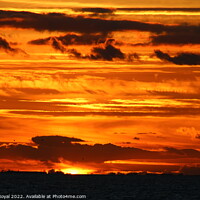 Buy canvas prints of Sky on fire in North Norfolk by Rachel Royal