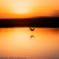 Buy canvas prints of bird flying over a lake in an orange sunrise by TheOther Kev