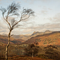 Buy canvas prints of Majestic View of the Langdale Pikes by Richard North