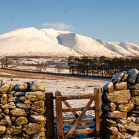Buy canvas prints of Majestic Blencathra in Winter Wonderland by Richard North