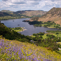 Buy canvas prints of Bluebell Bliss on Ullswater by Richard North