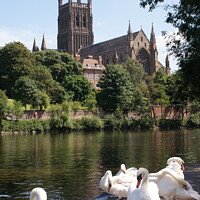 Buy canvas prints of Majestic Worcester Cathedral on the River Severn by Richard North
