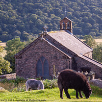 Buy canvas prints of Buttermere Church  by Richard North