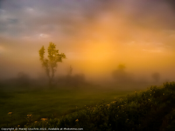 Misty Morning Picture Board by Maciej Czuchra