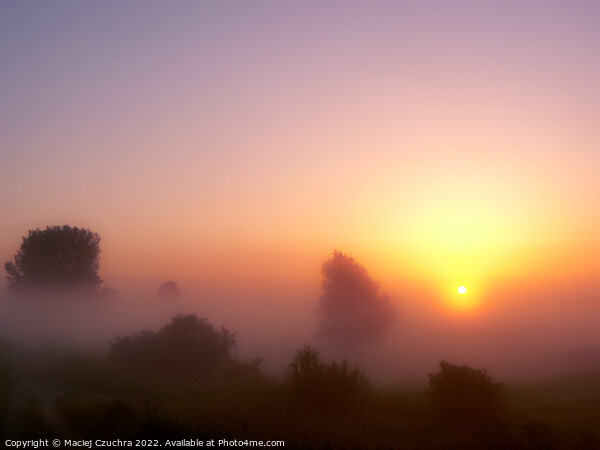 Pastel Sunrise Picture Board by Maciej Czuchra