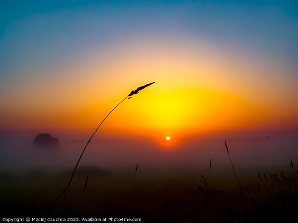 Minimalist Sunrise Picture Board by Maciej Czuchra