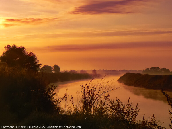 The Wisła River at Dawn Picture Board by Maciej Czuchra