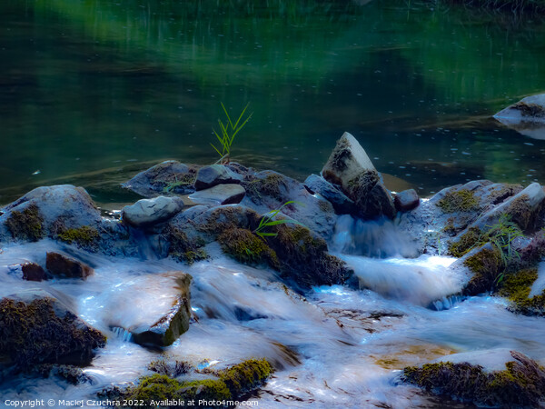 River Waters Trickling Over Stones Picture Board by Maciej Czuchra