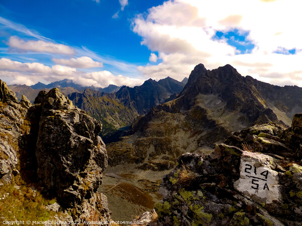 In the High Tatras Picture Board by Maciej Czuchra