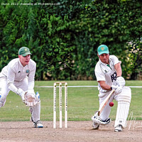 Buy canvas prints of Cricket batsman  by Mark Dunn