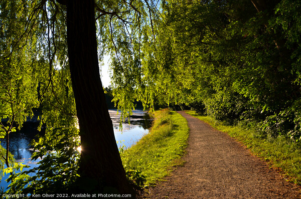 Serene Pathway: A Tranquil Journey through Jackson Picture Board by Ken Oliver