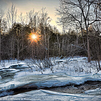 Buy canvas prints of Winter Sunbeam Serenade by Ken Oliver