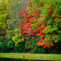 Buy canvas prints of Autumn's Mirror in Jackson Park by Ken Oliver