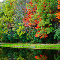 Buy canvas prints of Autumn's Mirror: Jackson Park Pond by Ken Oliver