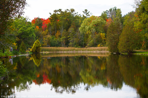Autumnal Splendour in Jackson Park Picture Board by Ken Oliver
