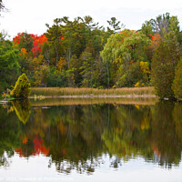 Buy canvas prints of Autumnal Splendour in Jackson Park by Ken Oliver