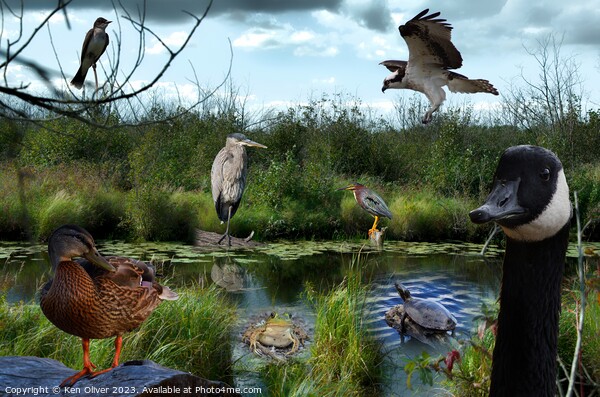 Wetlands Gathering of Animals Picture Board by Ken Oliver