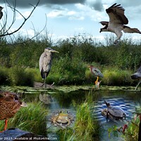 Buy canvas prints of Wetlands Gathering of Animals by Ken Oliver