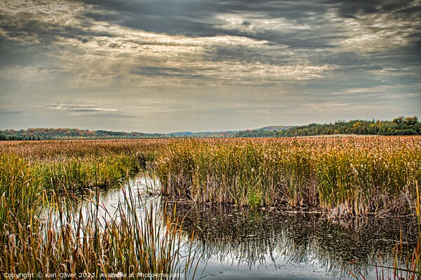 Autumnal Reverie at Miller Creek Wetlands Picture Board by Ken Oliver
