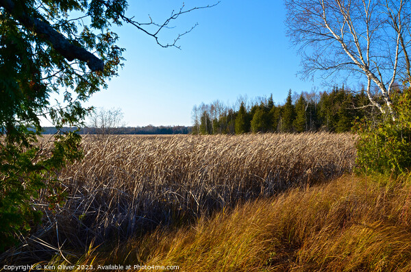 Autumn Tranquillity: Miller Creek Marsh Picture Board by Ken Oliver