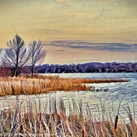 Buy canvas prints of Lakeside Marsh by Ken Oliver
