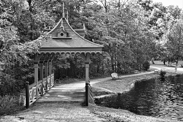 Pagoda bridge at Jackson park pond restored to the original design Picture Board by Ken Oliver