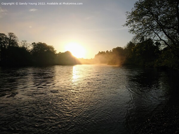 Majestic Sunrise Over the River Tay Picture Board by Sandy Young