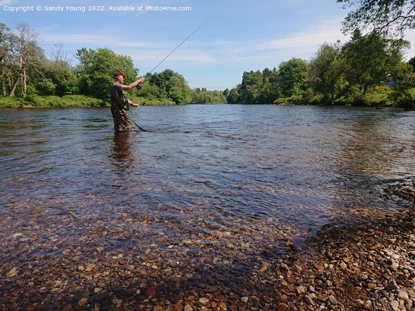 Tranquil Fly Fishing on River Tay Picture Board by Sandy Young