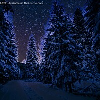 Buy canvas prints of Enchanted Winter Wonderland by Sandy Young