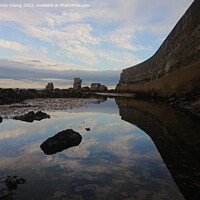 Buy canvas prints of Sea wall Kirkcaldy  by Sandy Young