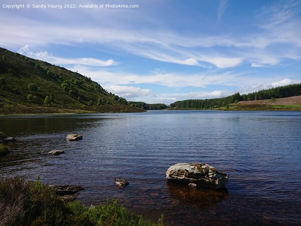 Loch na Creige Aberfeldy  Picture Board by Sandy Young