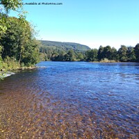 Buy canvas prints of River Tay in sunshine by Sandy Young