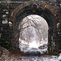Buy canvas prints of The Serene Beauty of a Disused Bridge by Sandy Young