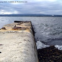 Buy canvas prints of The old Pier at  Chanonry Point by Sandy Young