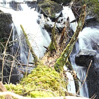 Buy canvas prints of Birks Of Aberfeldy Chaos on The Waterfall by Sandy Young