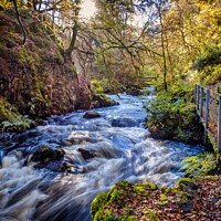 Buy canvas prints of Ness Glen in Autumn by Rodney Hutchinson