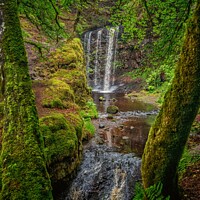 Buy canvas prints of A waterfall in a forest by Rodney Hutchinson
