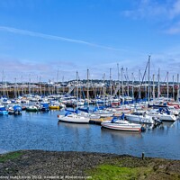 Buy canvas prints of Boat and Yacht's in Tayport by Rodney Hutchinson