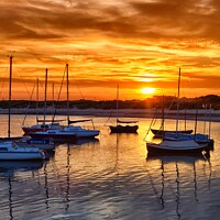 Buy canvas prints of Serene Sunset in Beadnell by Rodney Hutchinson