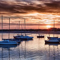 Buy canvas prints of Serene Sunset over Beadnell Bay by Rodney Hutchinson