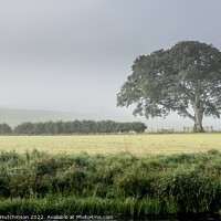 Buy canvas prints of Enchanting Countryside Fog by Rodney Hutchinson
