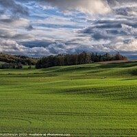 Buy canvas prints of Serene Scottish Countryside by Rodney Hutchinson