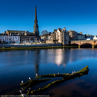 Buy canvas prints of Majestic Ayr Town Hall by Rodney Hutchinson