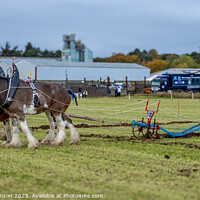 Buy canvas prints of Horse Ploughing by Rodney Hutchinson