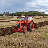 Buy canvas prints of Vintage tractor ploughing by Rodney Hutchinson