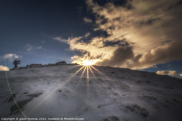 winter flare sunset  Picture Board by gavin thomas