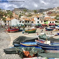 Buy canvas prints of Camara de Lobos Madeira by Joyce Hird